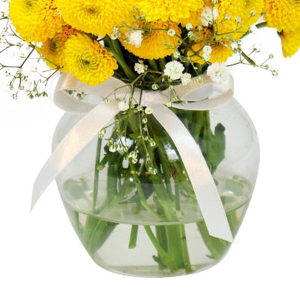 Brisa de Pinóquios Amarelos e Gypsophila