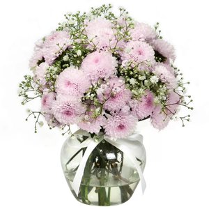 Imagem de Brisa de Pinóquios Lilás e Gypsophila
