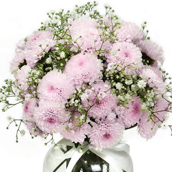 Brisa de Pinóquios Lilás e Gypsophila