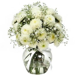 Imagem de Brisa de Pinóquios Brancos e Gypsophila