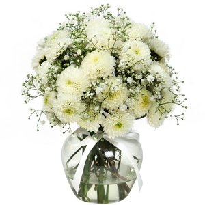 Imagem de Brisa de Pinóquios Brancos e Gypsophila