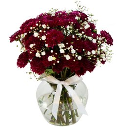 Imagem de Brisa de Pinóquios Marsala e Gypsophila