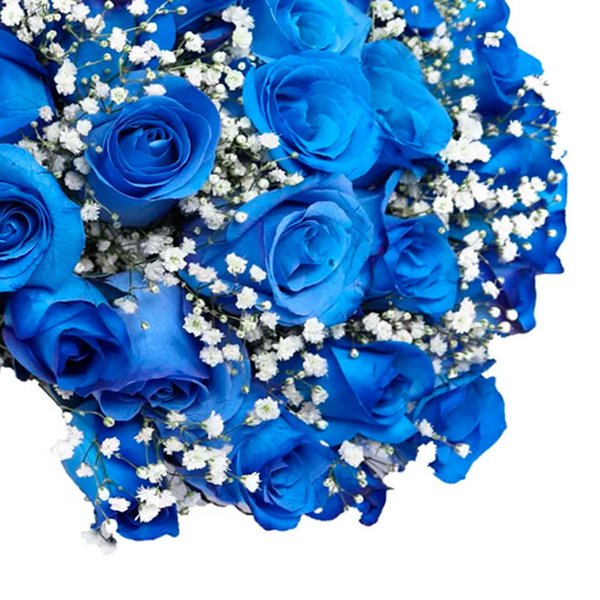 Buquê de 30 Rosas Azuis com Gypsophila