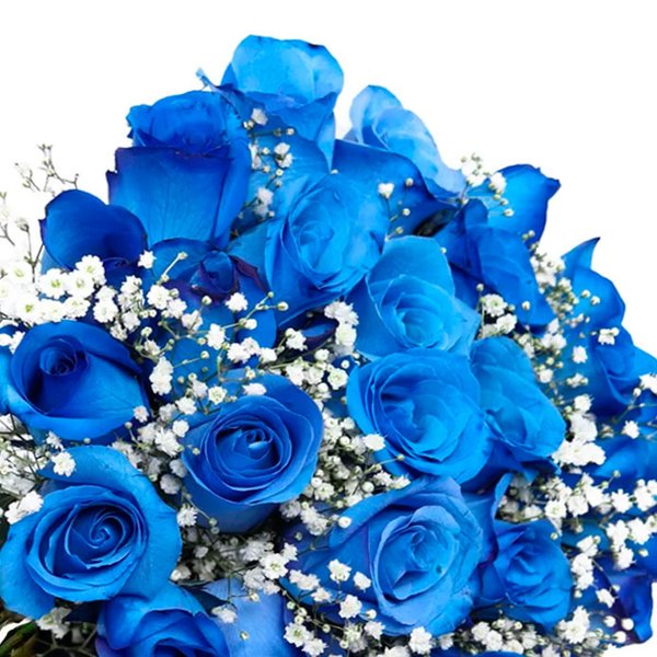 Buquê de 30 Rosas Azuis com Gypsophila