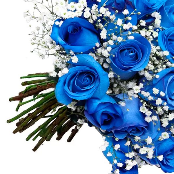 Buquê de 30 Rosas Azuis com Gypsophila