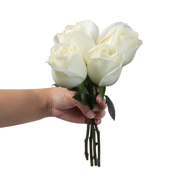 Ramalhete de 4 Rosas Brancas