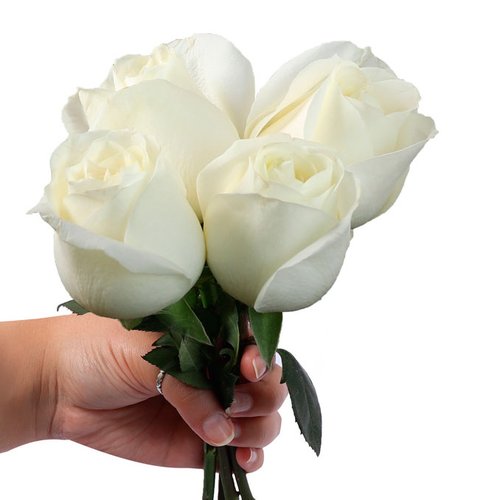 Ramalhete de 4 Rosas Brancas | Giuliana Flores