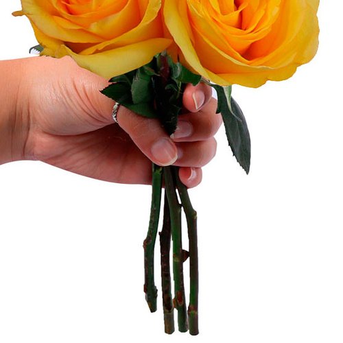 Ramalhete de 4 Rosas Amarelas