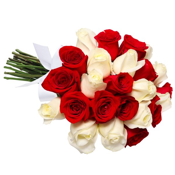 Buquê de 24 Rosas Vermelhas e Brancas