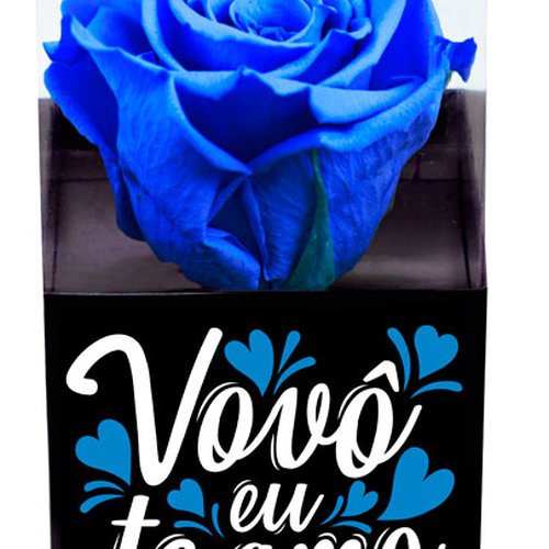 Rosa Encantada Azul Vovô Eu Te Amo