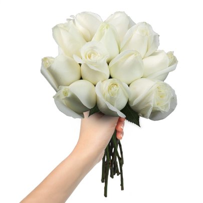 Ramalhete de 12 Rosas Brancas | Giuliana Flores