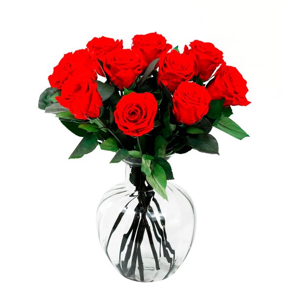 Arranjo de Rosas Encantadas