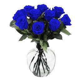 Imagem de Arranjo de Rosas Encantadas Azuis