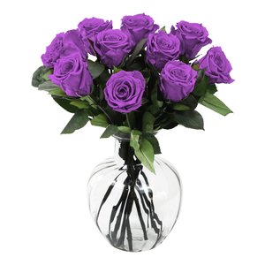 Imagem de Arranjo de Rosas Encantadas Roxas