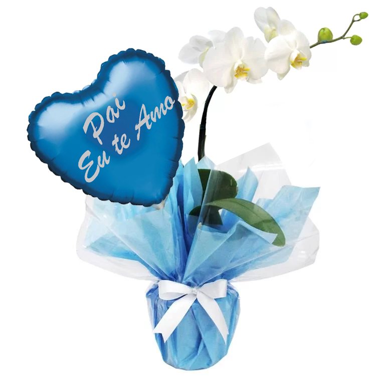 Orquídea Phalaenopsis Branca e Balão Pai Eu Te Amo Azul
