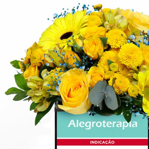Mix de Flores no Box Alegroterapia