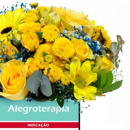Mix de Flores no Box Alegroterapia