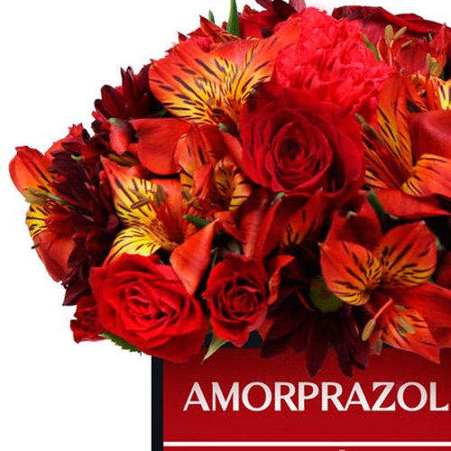 Mix de Flores no Box Amorprazol