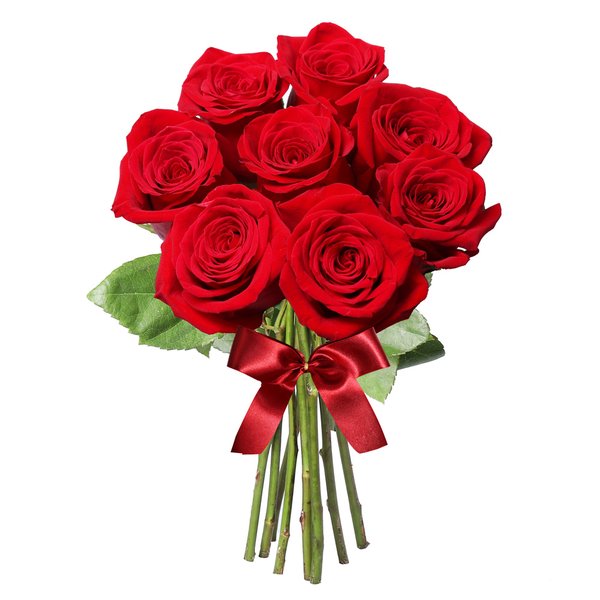 Buquê de 08 Rosas Colombianas Vermelhas