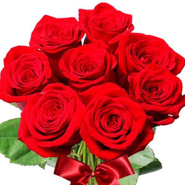 Buquê de 08 Rosas Colombianas Vermelhas