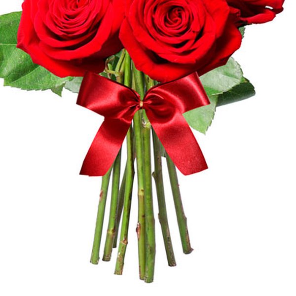 Buquê de 08 Rosas Colombianas Vermelhas