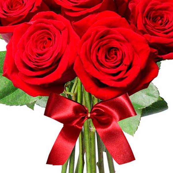 Buquê de 08 Rosas Colombianas Vermelhas