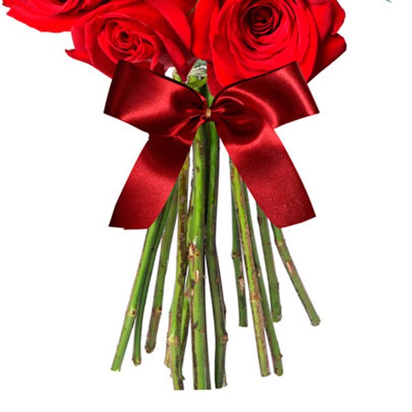 Buquê de 15 Rosas Colombianas Vermelhas