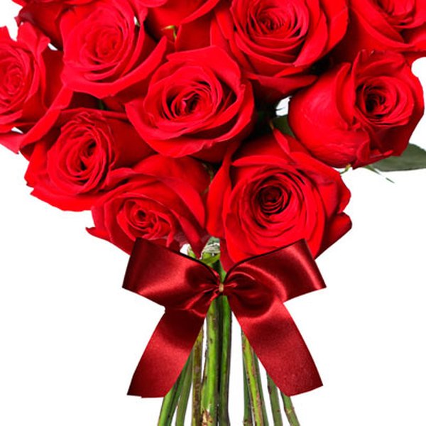 Buquê de 15 Rosas Colombianas Vermelhas