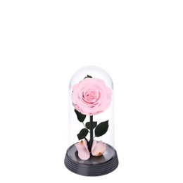 Imagem de A Bela Rosa Encantada Cor de Rosa