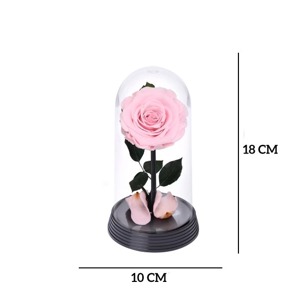 A Bela Rosa Encantada Cor de Rosa