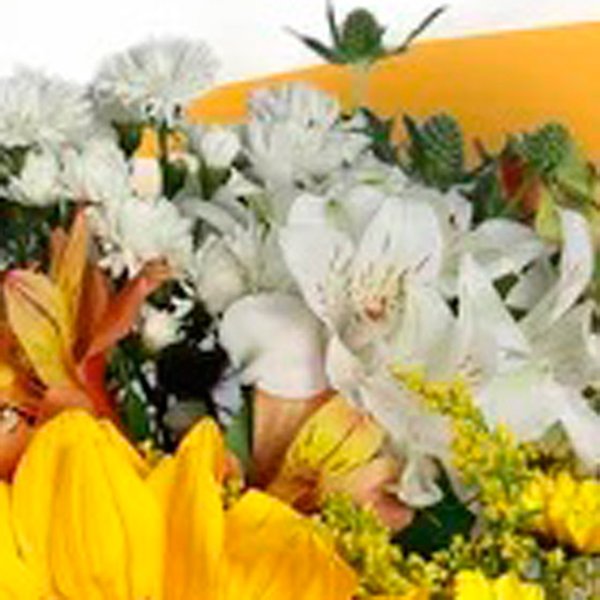 Buquê 04 Estações Amarelo