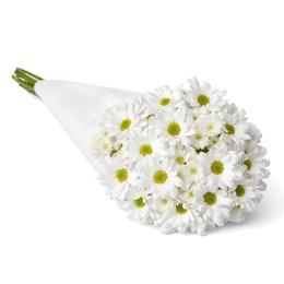 Imagem de Buquê de Primavera Branco