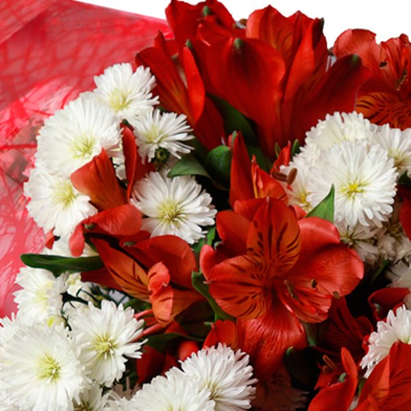 Buquê de Primavera Vermelho