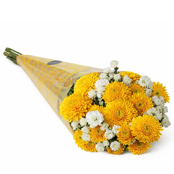 Buquê de Primavera Amarelo