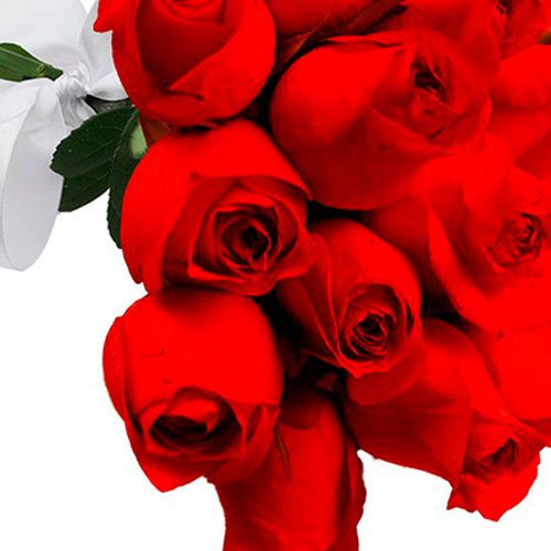 Especial Buquê de 18 Rosas Vermelhas - Rappi