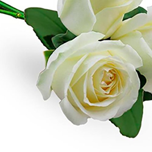 Especial Buquê de 3 Rosas Brancas - Rappi