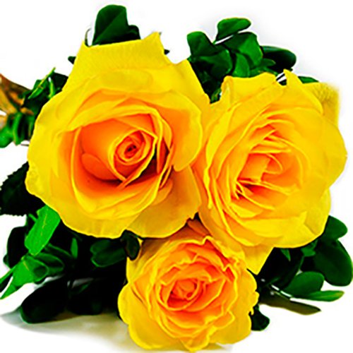 Especial Buquê de 3 Rosas Amarelas - Rappi