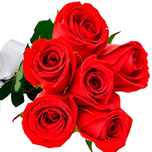 Especial Buquê de 6 Rosas Vermelhas - Rappi