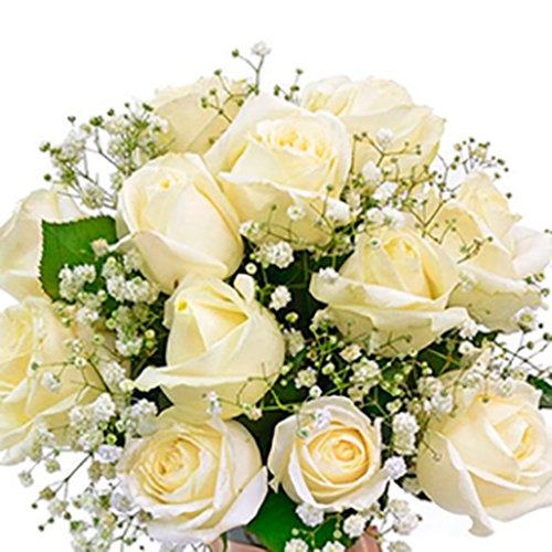 Especial Elegância das Rosas Brancas - Rappi