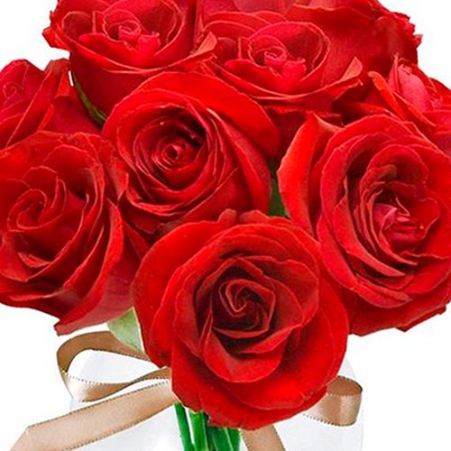 Especial Surpresa de Rosas Vermelhas - Rappi