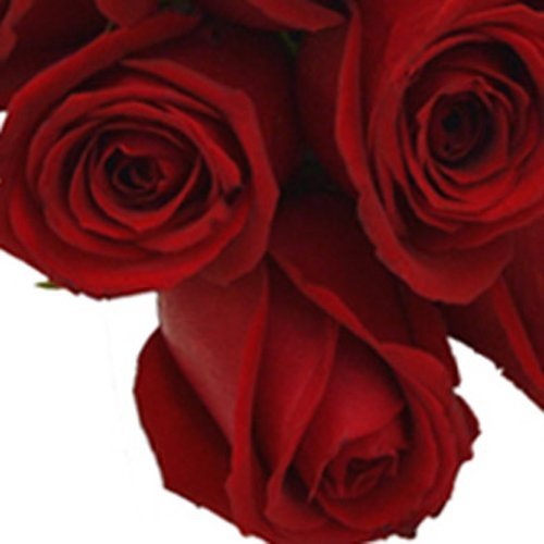 Buquê De 12 Rosas Vermelhas E Gift Card Baby Beef Jardim