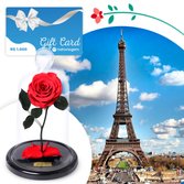 Mini Rosa Encantada E Gift Card Instaviagem