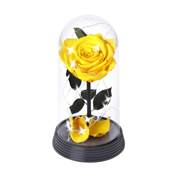 A Bela Rosa Encantada Estrelada Amarela