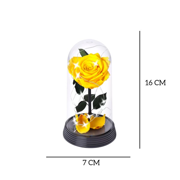 A Bela Rosa Encantada Estrelada Amarela