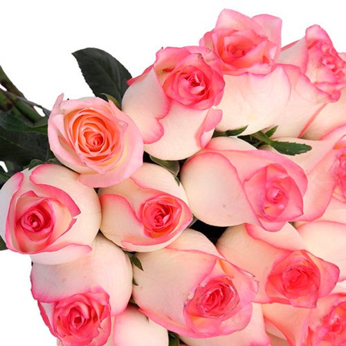 Buquê de 20 rosas Mescladas Pink