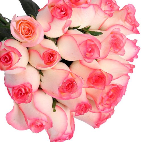 Buquê de 20 rosas Mescladas Pink