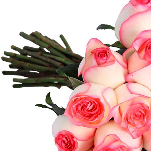 Buquê de 30 rosas Mescladas Pink