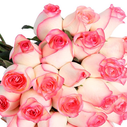 Buquê de 30 rosas Mescladas Pink