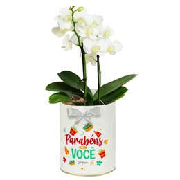 Imagem de Mini Orquídea Rara Branca Happy Birthday