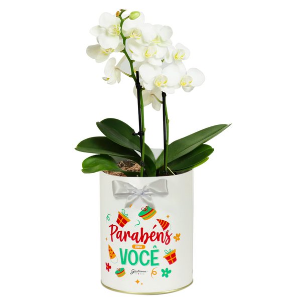 Mini Orquídea Rara Branca Happy Birthday